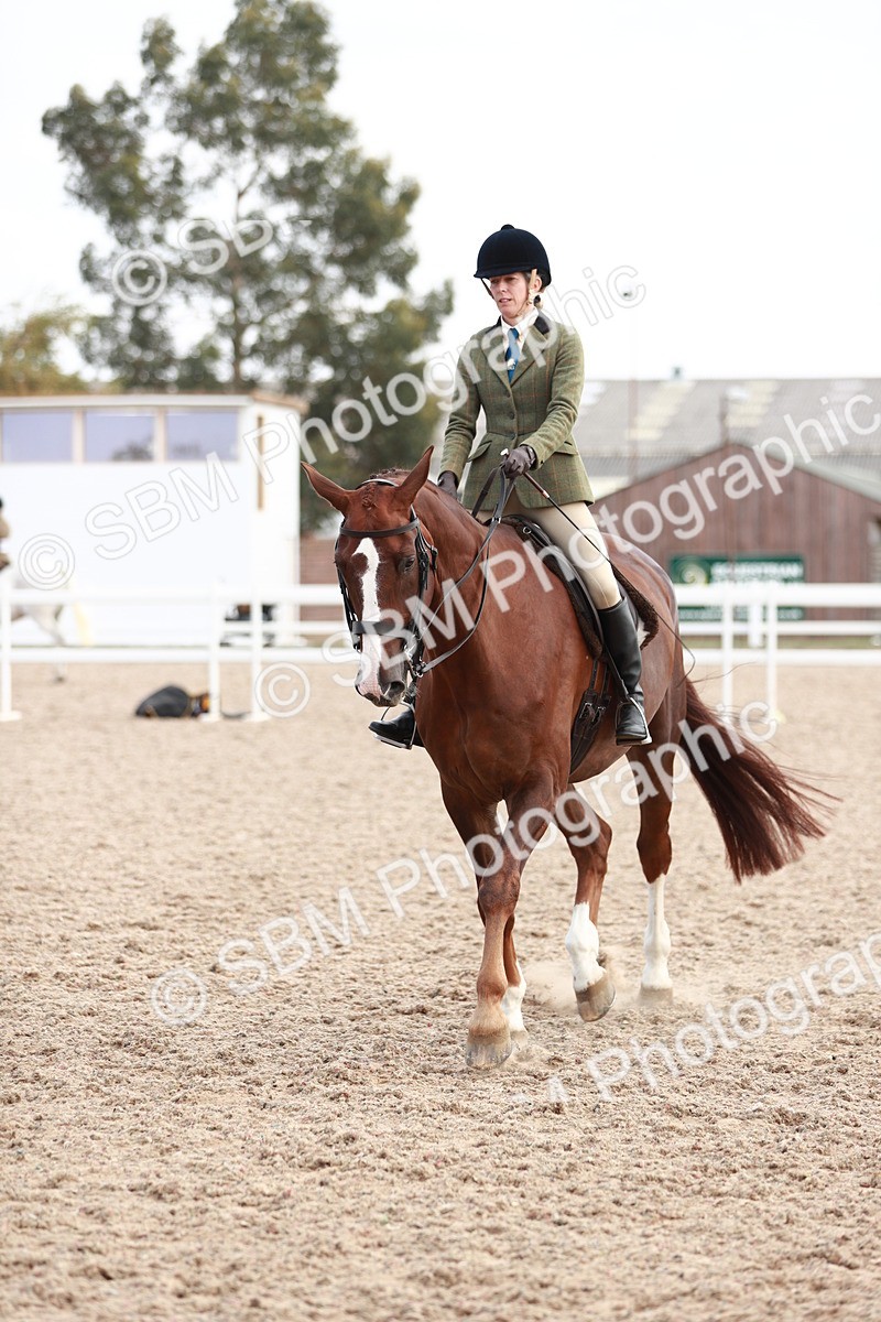 SBM_15536 - Class 213 Ridden Hunter -Large