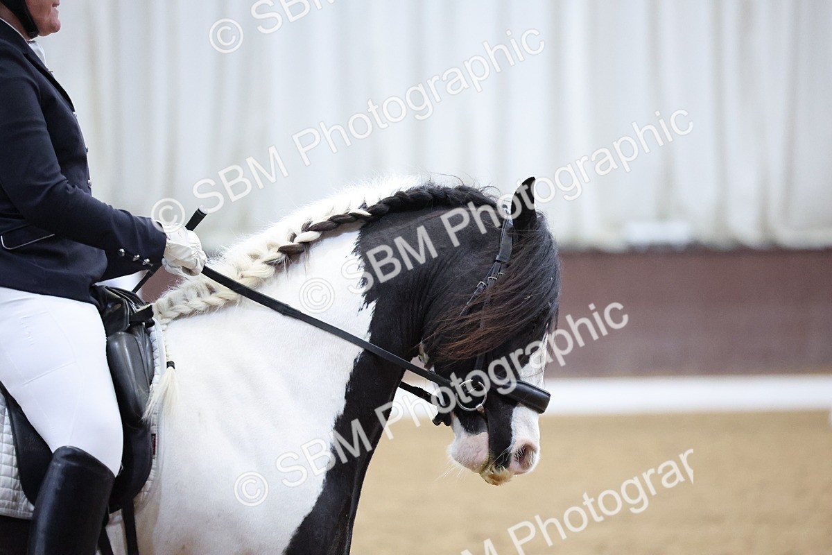 SBM_000437 - Class 2-4-6-8-10 - FSM