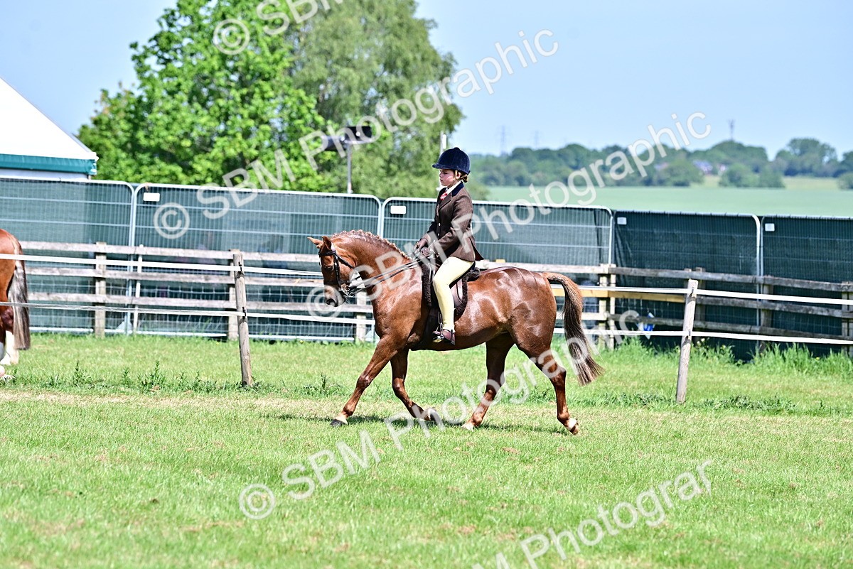 SBM_13967 - Class 95-97 - BSPS LHS Performance Ponies