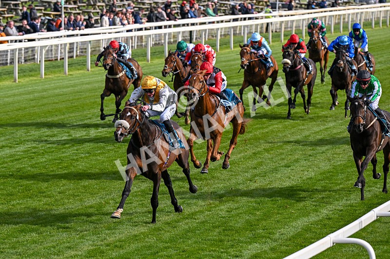 140526-Race 7-Arc Ole Ole-0411 - Race 7 5.15pm Frank Whittle Partnership Handicap