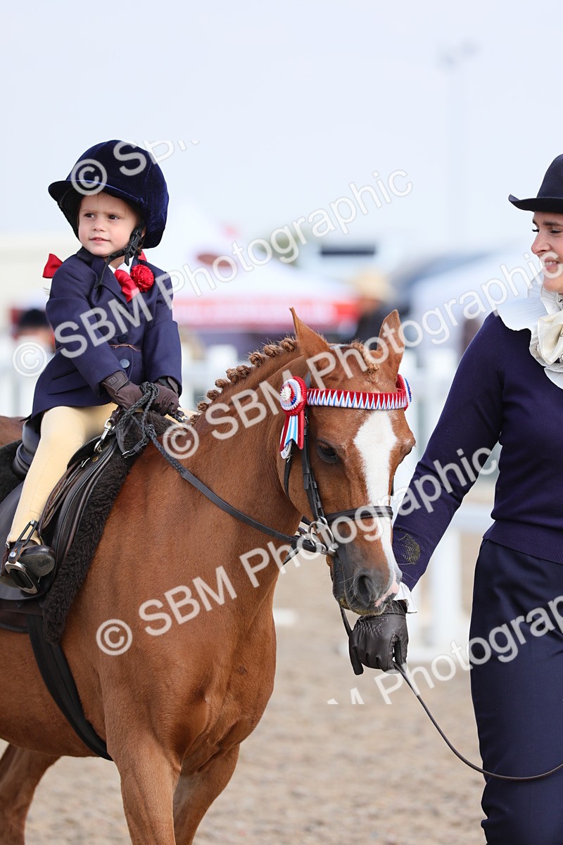 SBM_14015 - Class 309 Lead Rein Pony