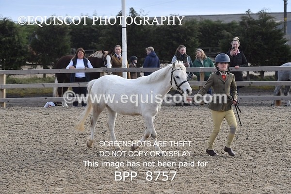 BPP_8757 - RING 2 - M&M