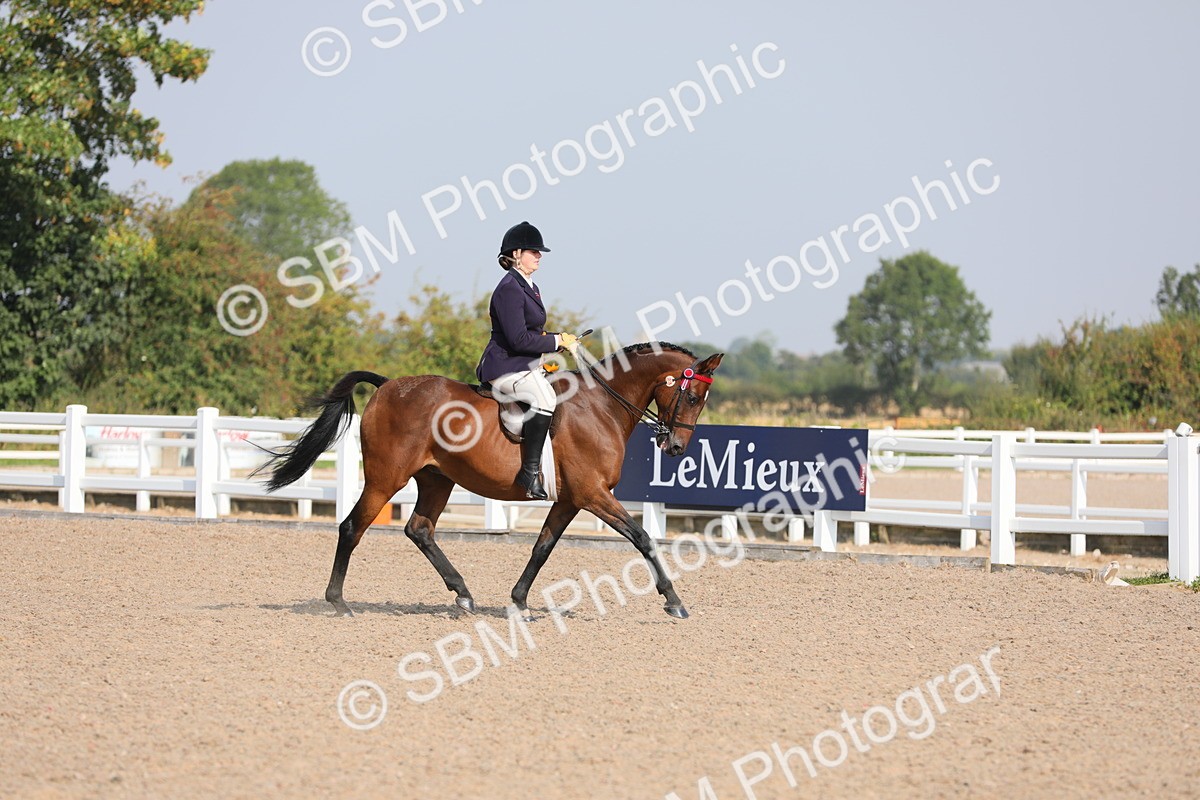 SBM_10950 - Class 304 Ridden Part Bred Horse/Pony