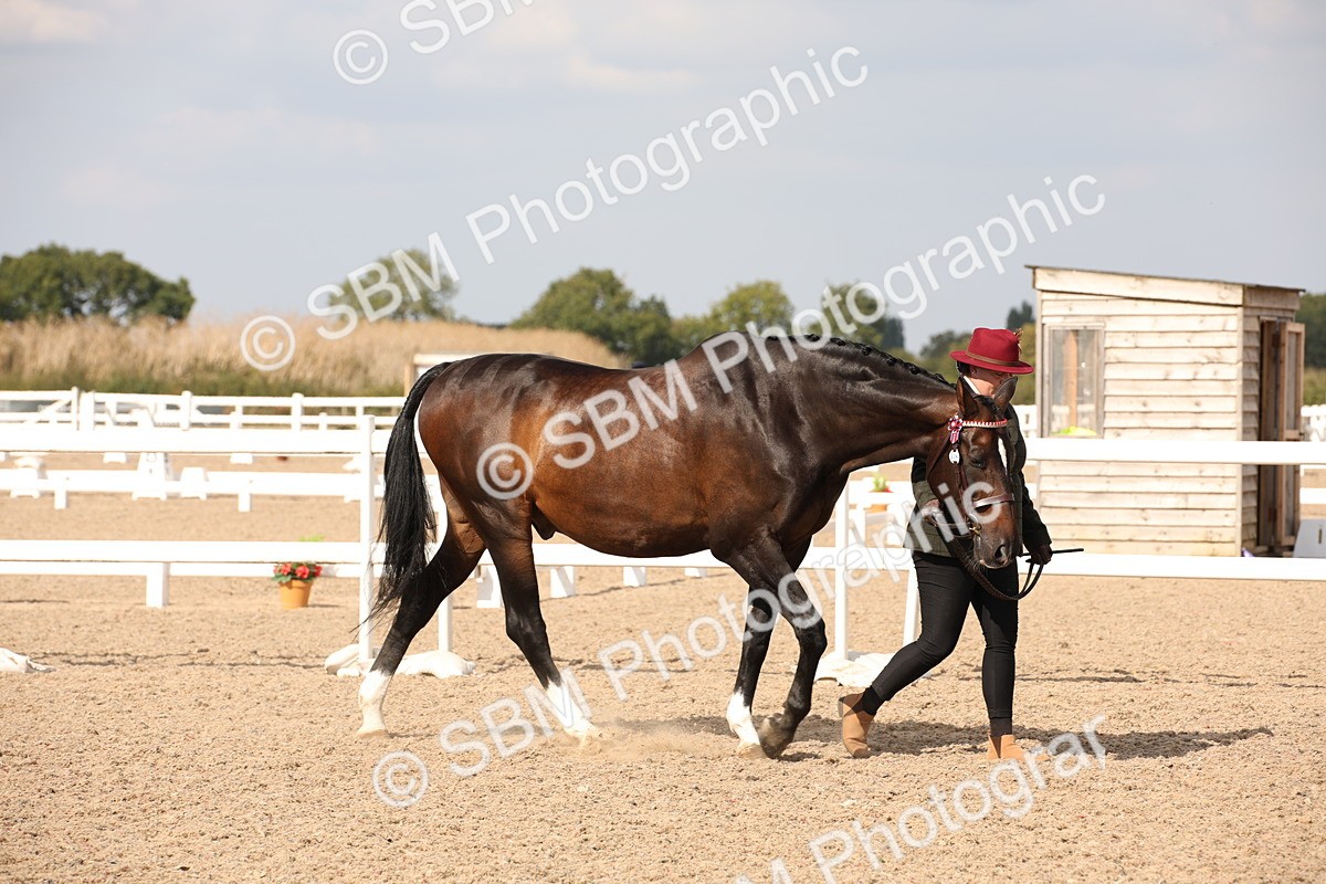 SBM_07033 - Class 25 IH Foreign Breeds- Pure bred