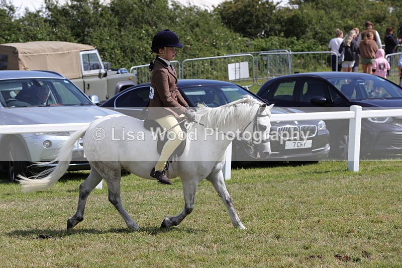 1X9A5343 - Class 37: NPS M&M First Ridden