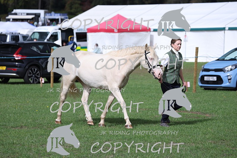 APP_2957 - Class 10a/b M&M in hand