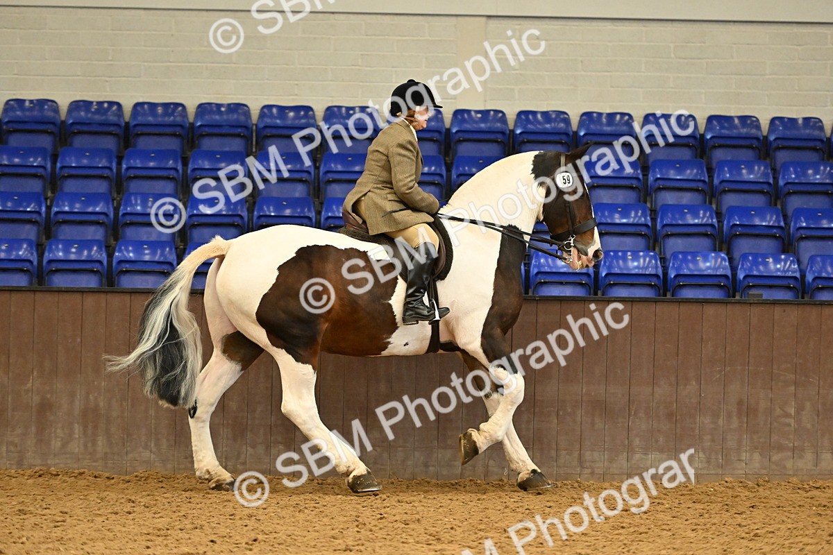 SBM_002037 - Class 21 - BSHA Ridden Show Cob
