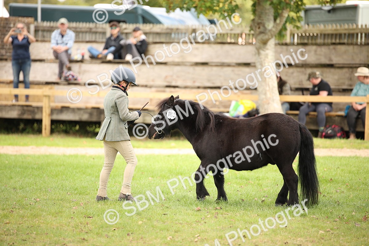 SBM_46356 - S25 - Mature Veteran In Hand