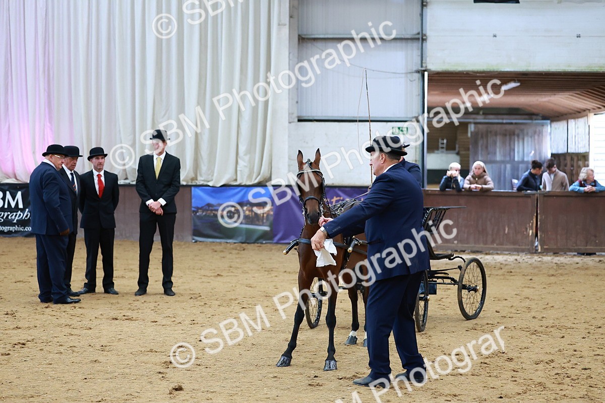 SBM_000659 - Class 9 - HHS Championship Intl Hackney Pony to a Showwagon
