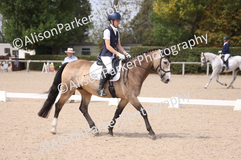 20260816-1141 - Class 4 - Novice 6