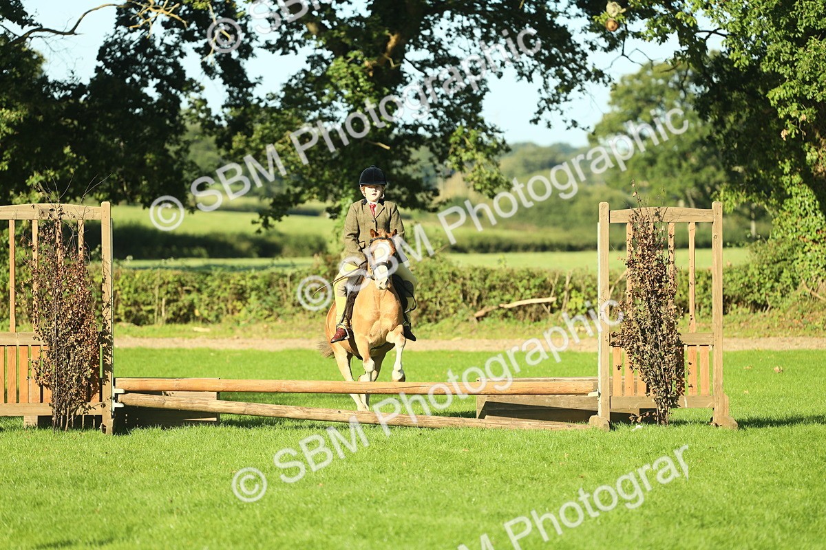 SBM_36335 - S29 - Novice & Newcomers Working Hunter Pony