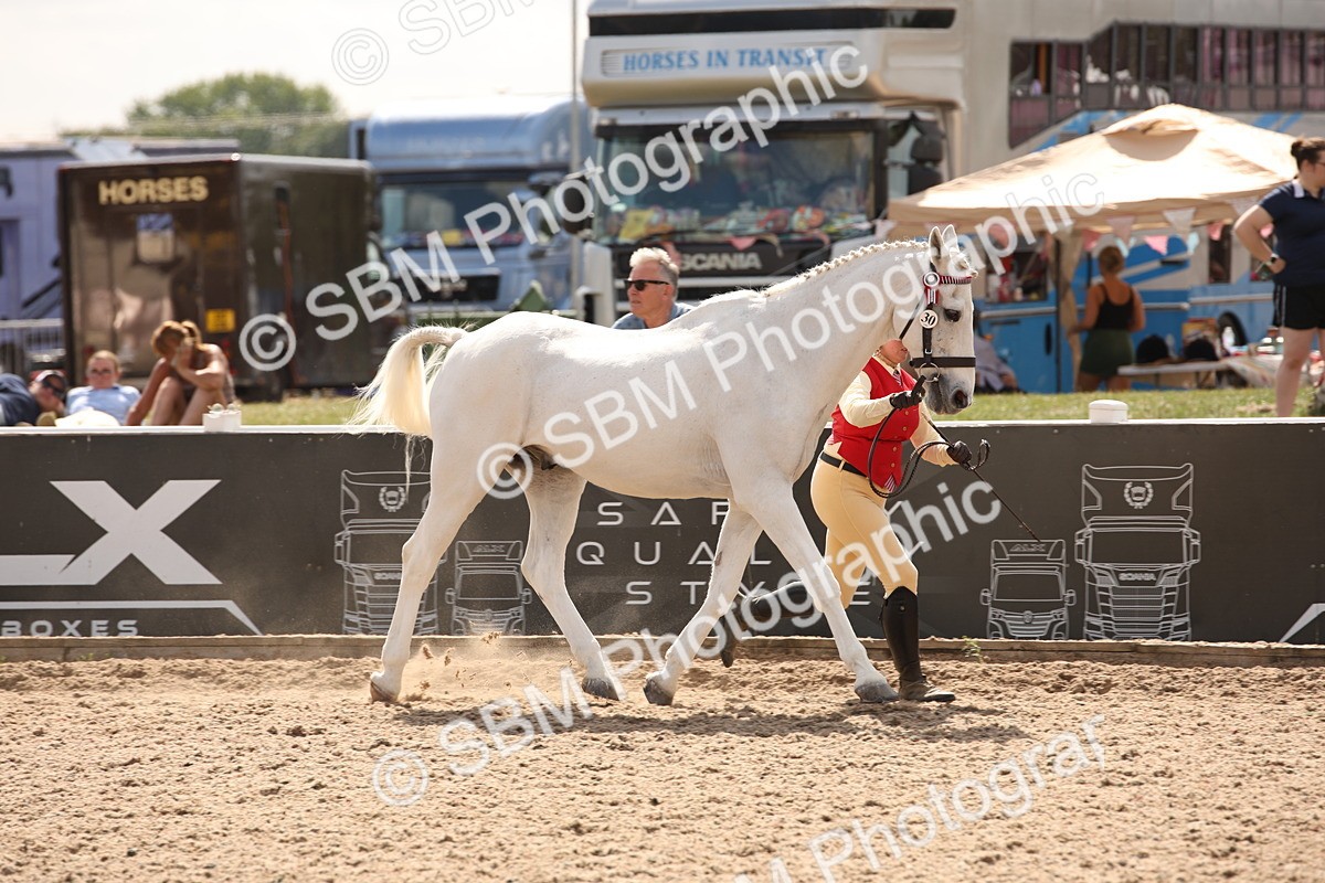 SBM_04556 - Class 20 IH Veteran