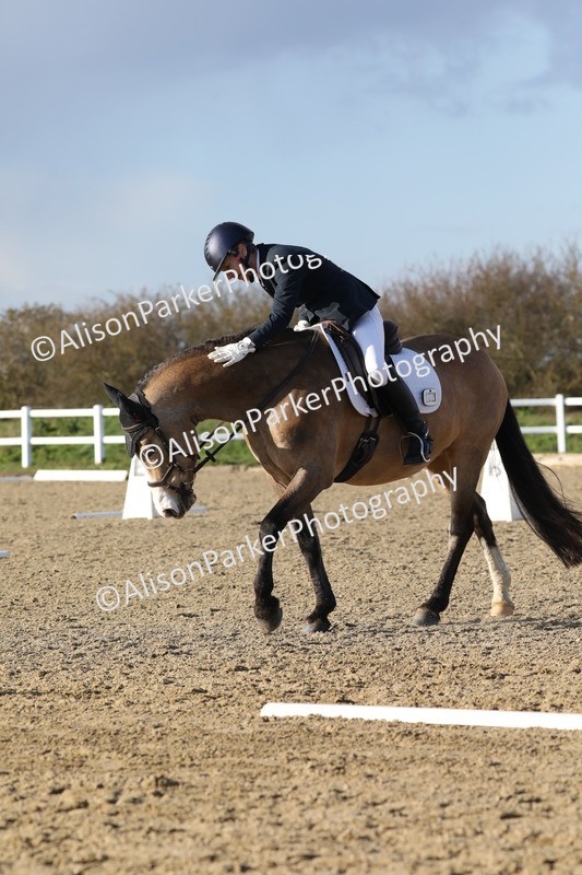 20260314-5887 - DR8 - Elementary 2