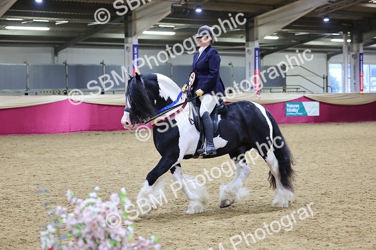 SBM_19256 - Class J Coloured Champ