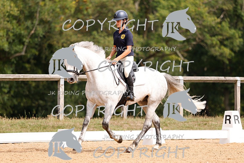 _R6A2788 - Dressage Morning