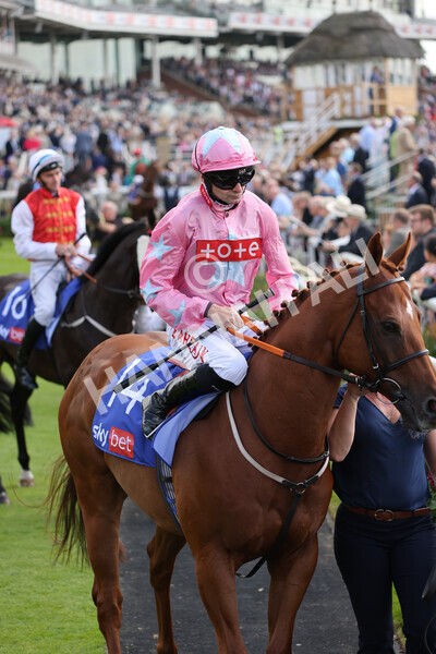 yr18082021r1-36 - Race 1 1.50pm Sky Bet & Symphony Group Stakes