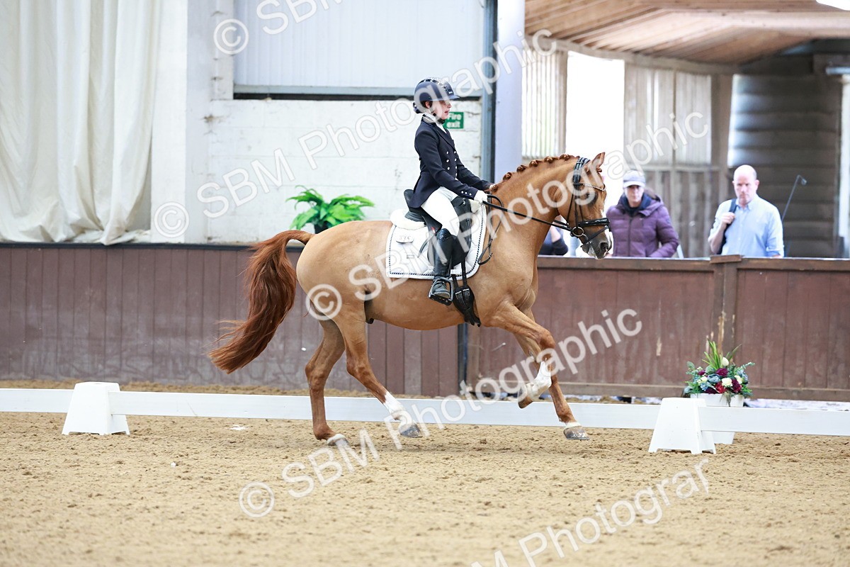 SBM_017081 - Class15 - FEI Pony