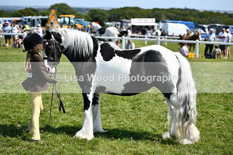 DSC_7679 - Class 64: Coloured Pony 4yrs & over