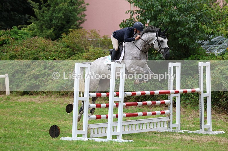 3E7A8518 - Class 8: Senior Foxhunter/1.20m open