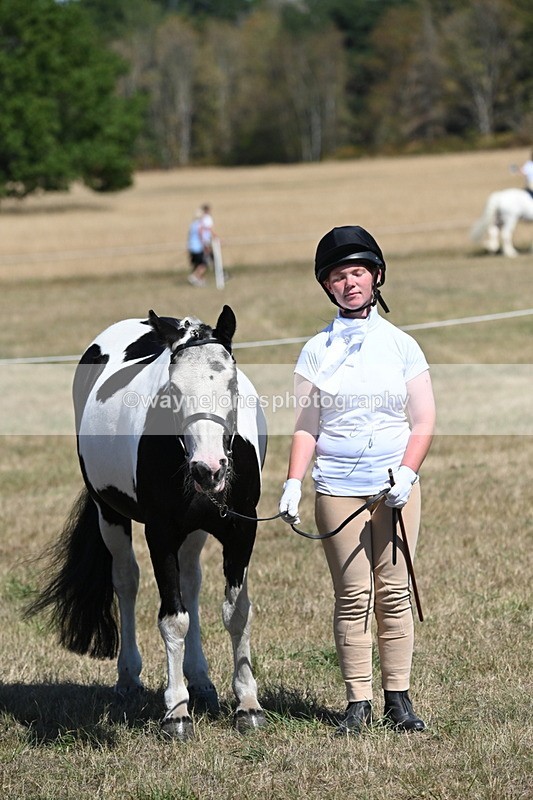 WJ6_8661 - Class 37b Best Loan Pony In-hand