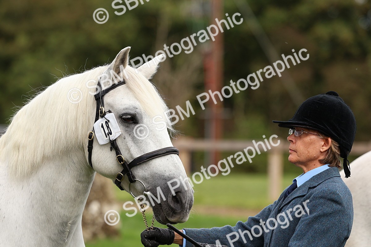 SBM_39360 - S24 - Young Veteran In Hand