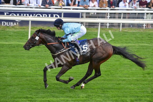 yr18082021r2-26 - Race 2 2.25pm Tattersalls Acomb Stakes