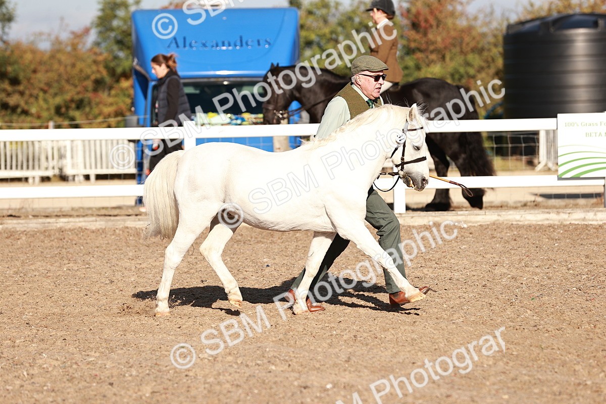 SBM_11382 - Class 402 - IH  Veteran pony