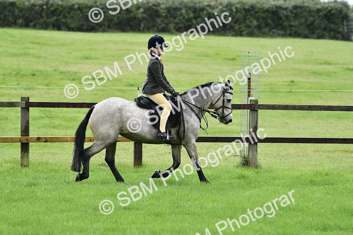 SBM_35553 - S30 - Nursery Stakes Working Hunter Pony