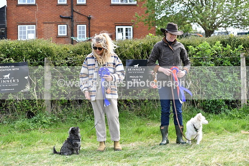 WJ5_0861 - Best in Show Championship
