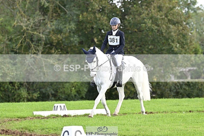 241025-155125-09932 - 381-William.Falango-JUST.BE.JACK