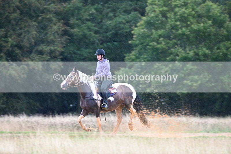 DSC_3269 - Time at Statue 12:59 to 13:49