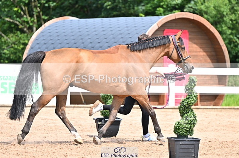 240718A-105256-01348 - Trot Up 12pm to 1pm