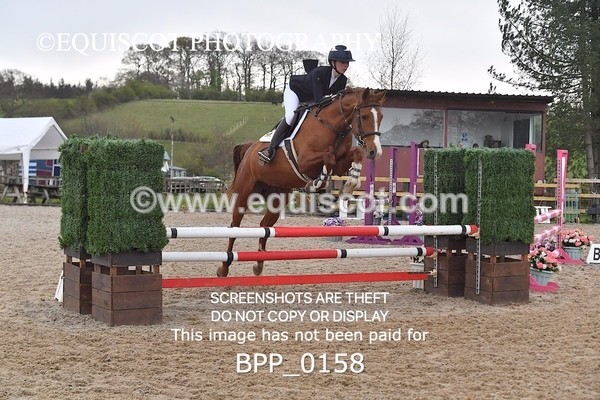 BPP_0158 - CLASS 1 FRI Club/ Unaffiliated 80cms Open