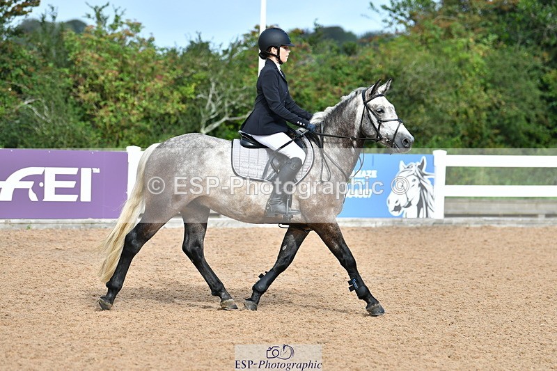 230819A-093953-00063 - Cls 20 Pony Intro 70cm