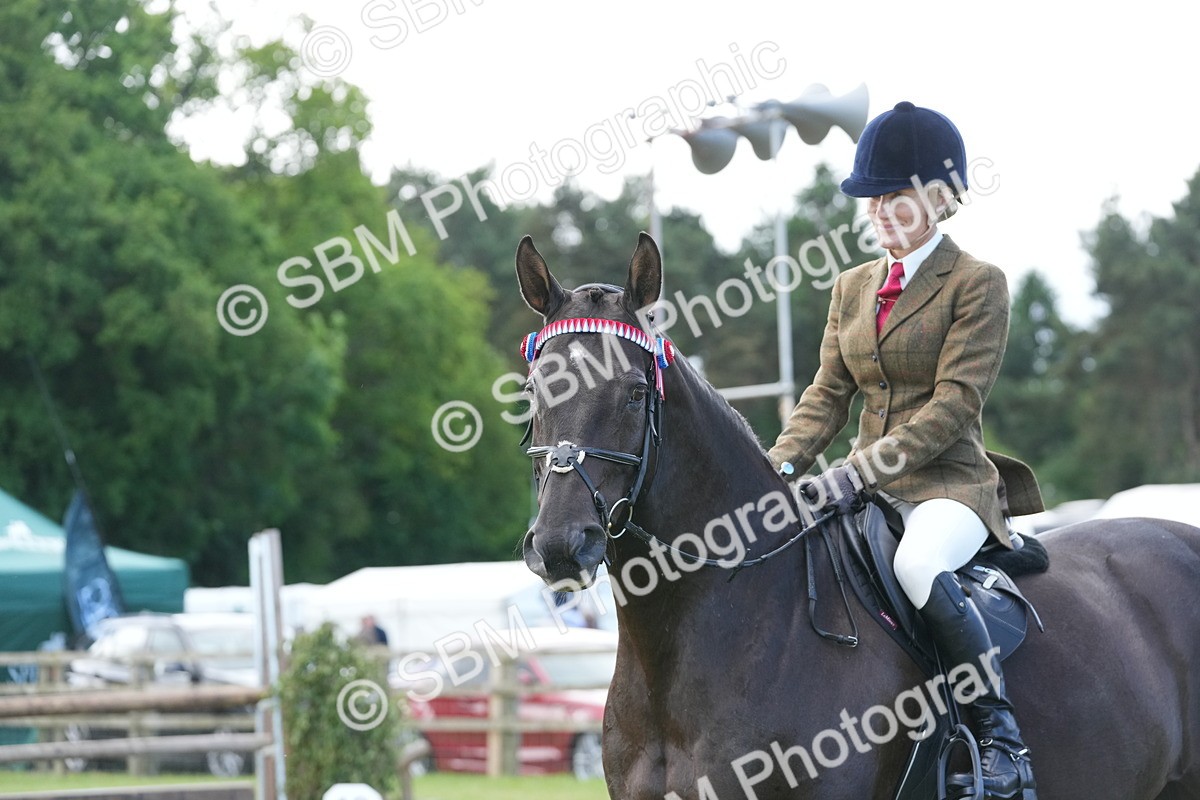 SBM_12961 - Class 99 - RIHS SEIB Working Show Horse