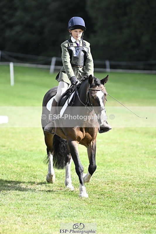 250821A-103842-14449 - DR 10.00 to 11.00