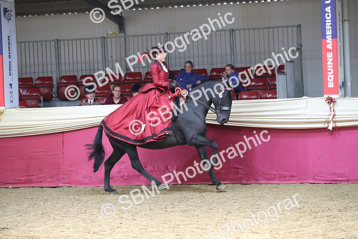 SBM_12204 - Class 107 Ridden Costume- Astride Adult (20+)