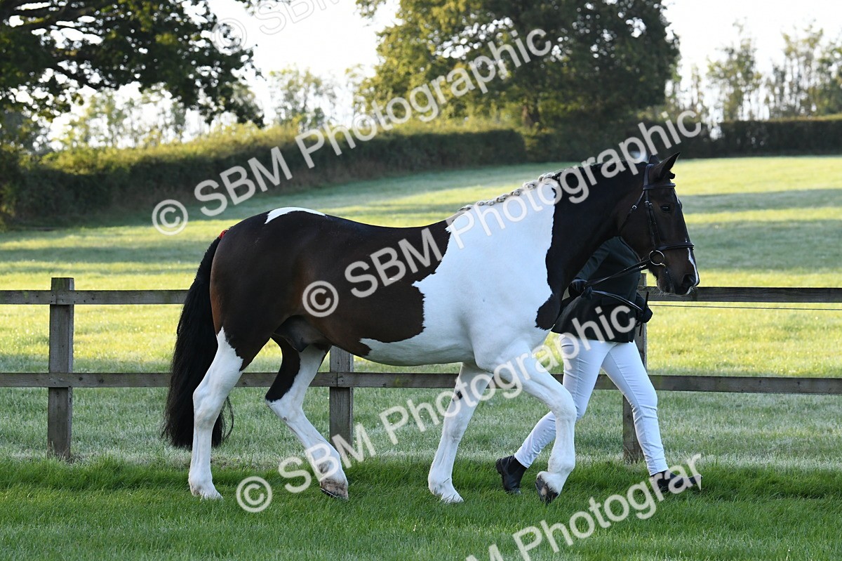 SBM_32578 - S15 - Condition & Turnout In Hand