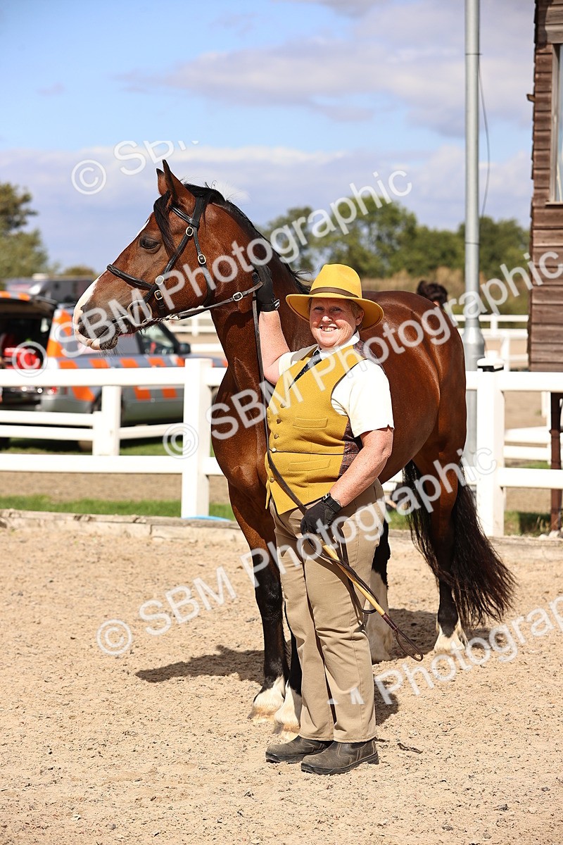 SBM_14305 - Class 411 - Prettiest Mare (IH OR Ridden) Adult