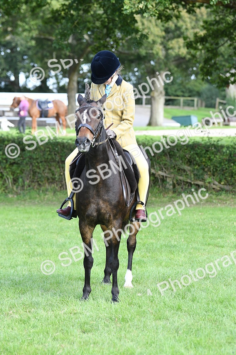 SBM_51827 - S21 - Novice & Newcomers 1st Ridden Pony