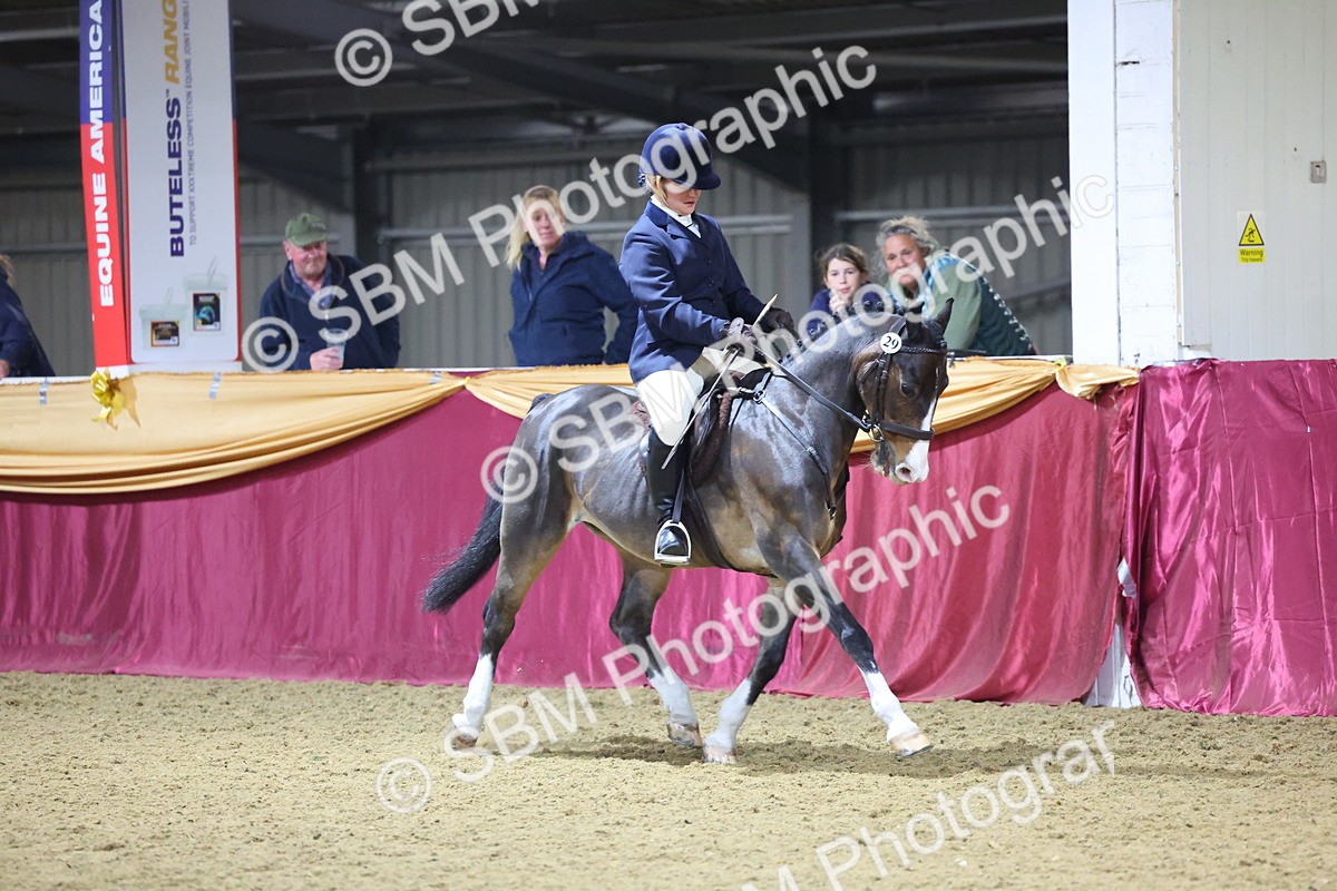 0B8A4605 - Class Q Style & Performance Champ