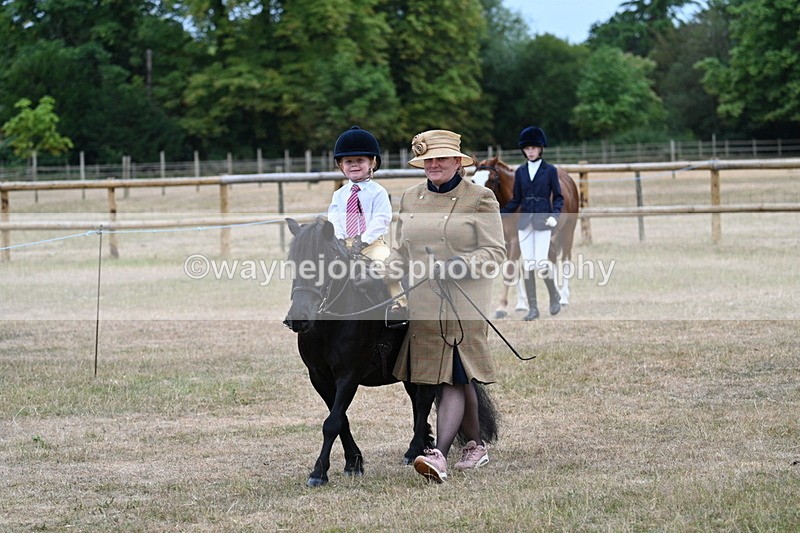 WJ7_7988 - Class 4 Prettiest Mare up to 14.2hh