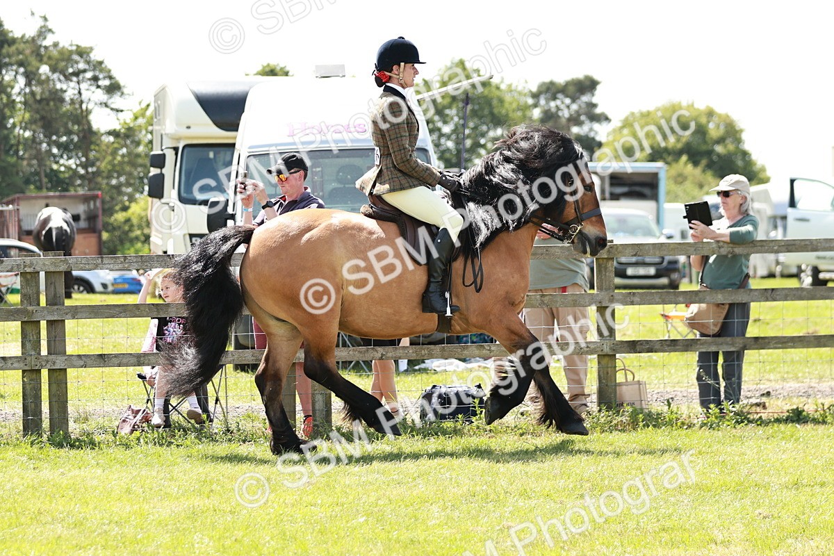 SBM_07049 - Class 26-30 - Mountain and Moorland Ridden