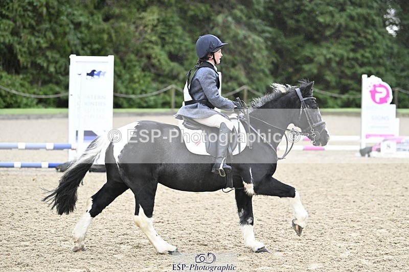 251005A-083003-02797 - Cls 01 GR 40cm