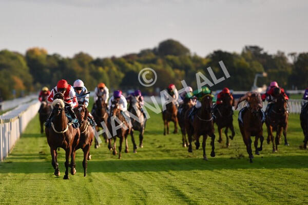 yr07102022r7-28 - Race 7 5.35pm IRE Incentive, It Pays To Buy Irish Stakes