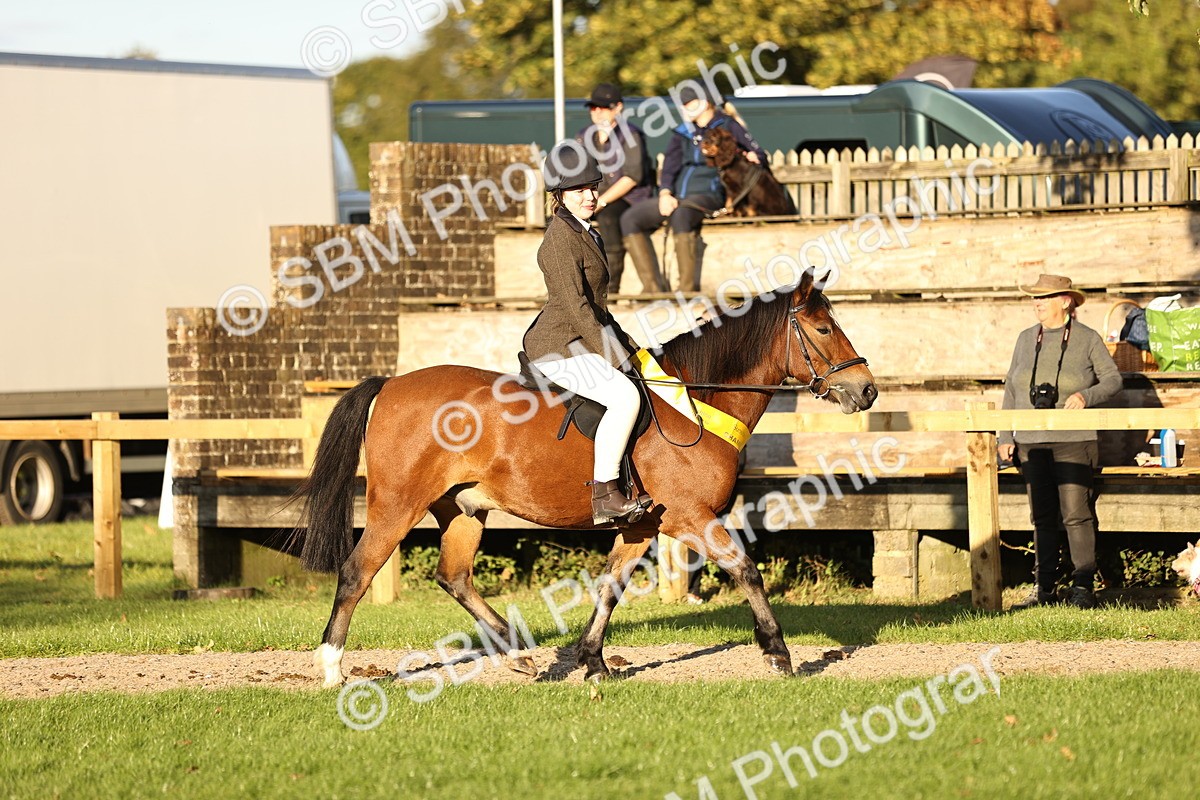 SBM_30100 - Novice & Newcomers Supreme Championship