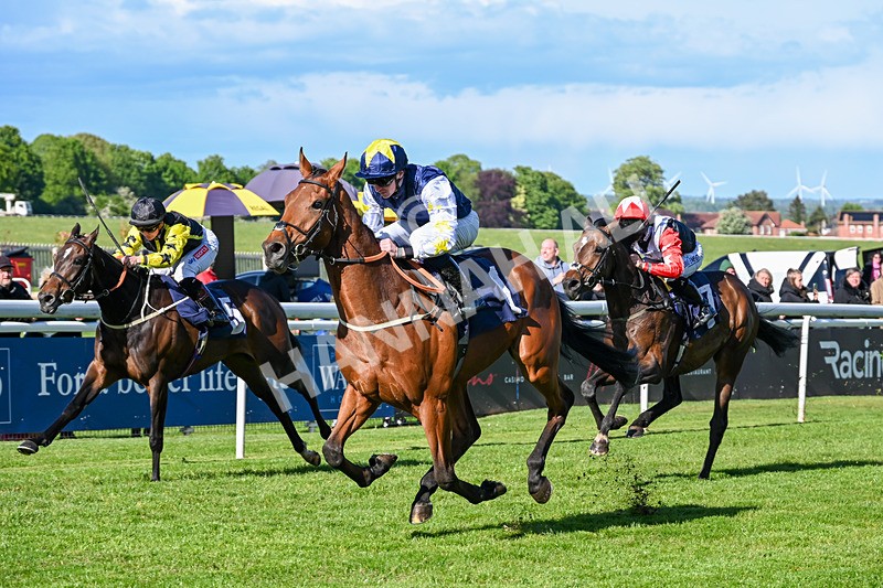 120526-Race 6-Ciao Capo-9233 - Race 6 5.10pm Racing Welfare Supporting Mental Health Handicap