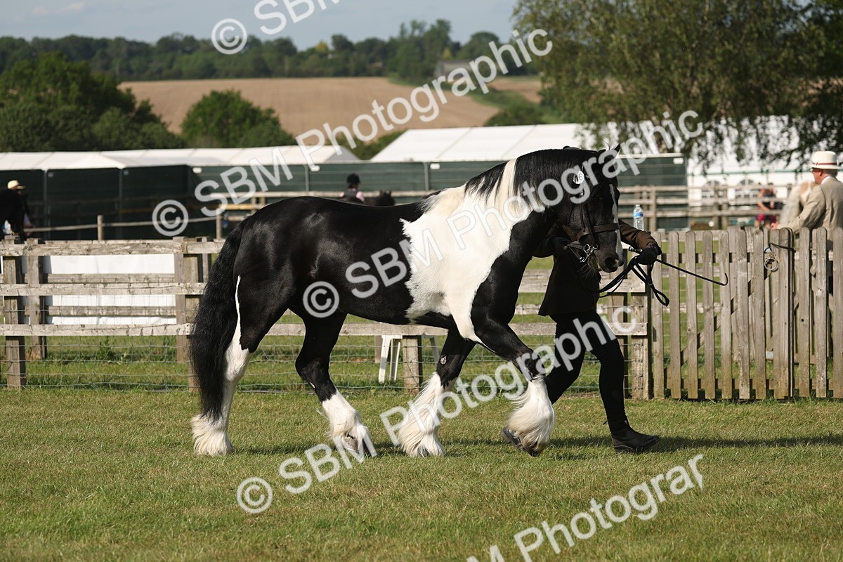 SBM_10323 - Class 33-38 - SSADL RIHS Qualifiers