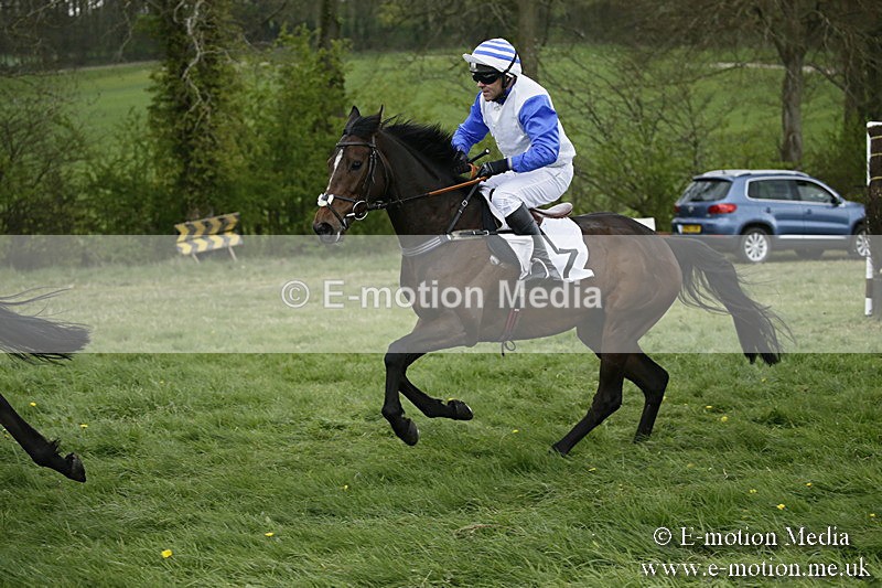 PtP 170417 522 - Old Berks Point-to-Point Lockinge 17/04/17