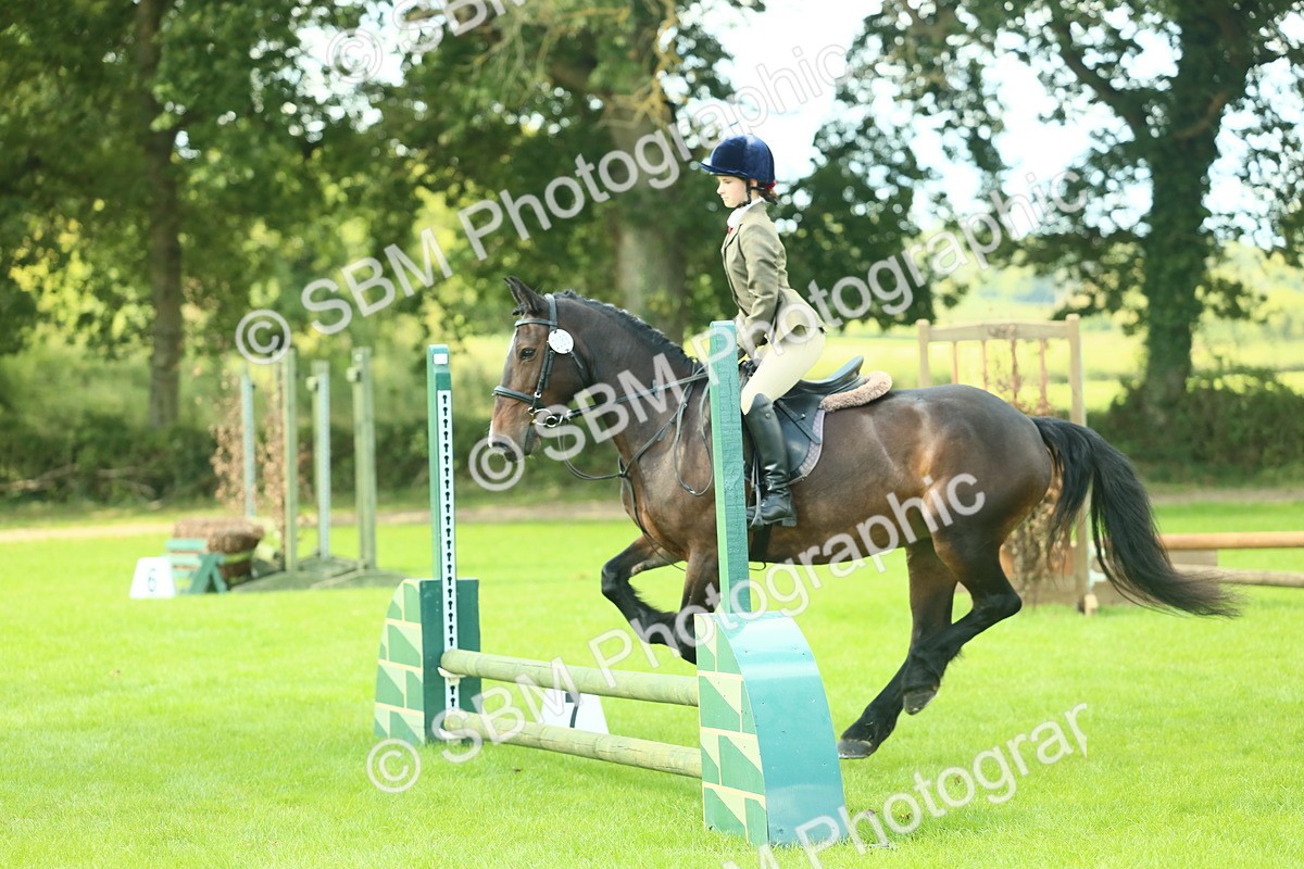 SBM_42047 - S29 - Novice & Newcomers Working Hunter Pony